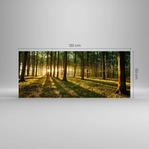 Impression sur verre - Image sur verre - Toutes les photographies de printemps - 120x50 cm