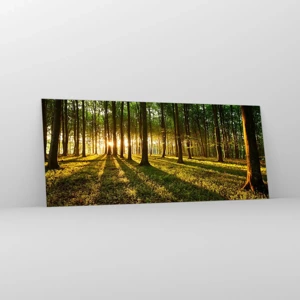 Impression sur verre - Image sur verre - Toutes les photographies de printemps - 120x50 cm