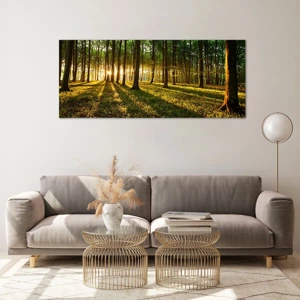 Impression sur verre - Image sur verre - Toutes les photographies de printemps - 120x50 cm