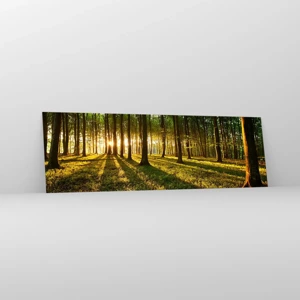 Impression sur verre - Image sur verre - Toutes les photographies de printemps - 160x50 cm