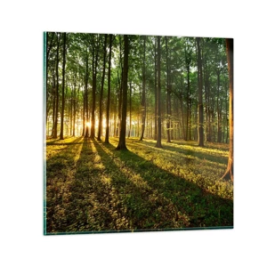 Impression sur verre - Image sur verre - Toutes les photographies de printemps - 60x60 cm