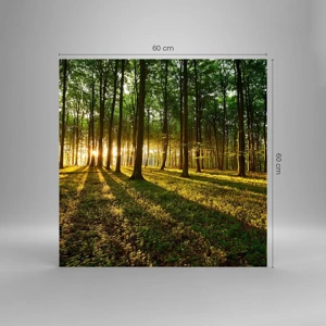 Impression sur verre - Image sur verre - Toutes les photographies de printemps - 60x60 cm