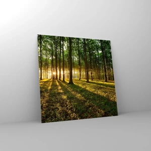 Impression sur verre - Image sur verre - Toutes les photographies de printemps - 60x60 cm