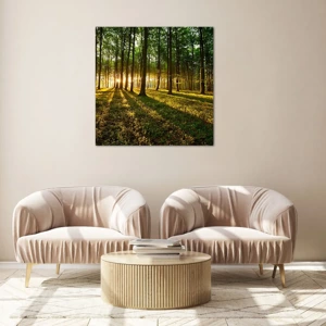 Impression sur verre - Image sur verre - Toutes les photographies de printemps - 60x60 cm