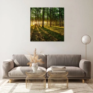 Impression sur verre - Image sur verre - Toutes les photographies de printemps - 70x70 cm