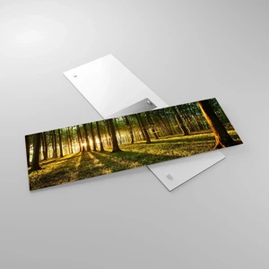 Impression sur verre - Image sur verre - Toutes les photographies de printemps - 90x30 cm