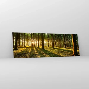 Impression sur verre - Image sur verre - Toutes les photographies de printemps - 90x30 cm