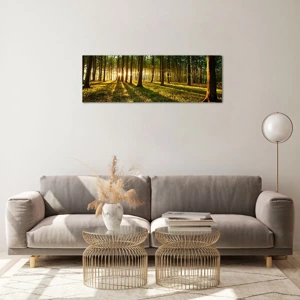 Impression sur verre - Image sur verre - Toutes les photographies de printemps - 90x30 cm