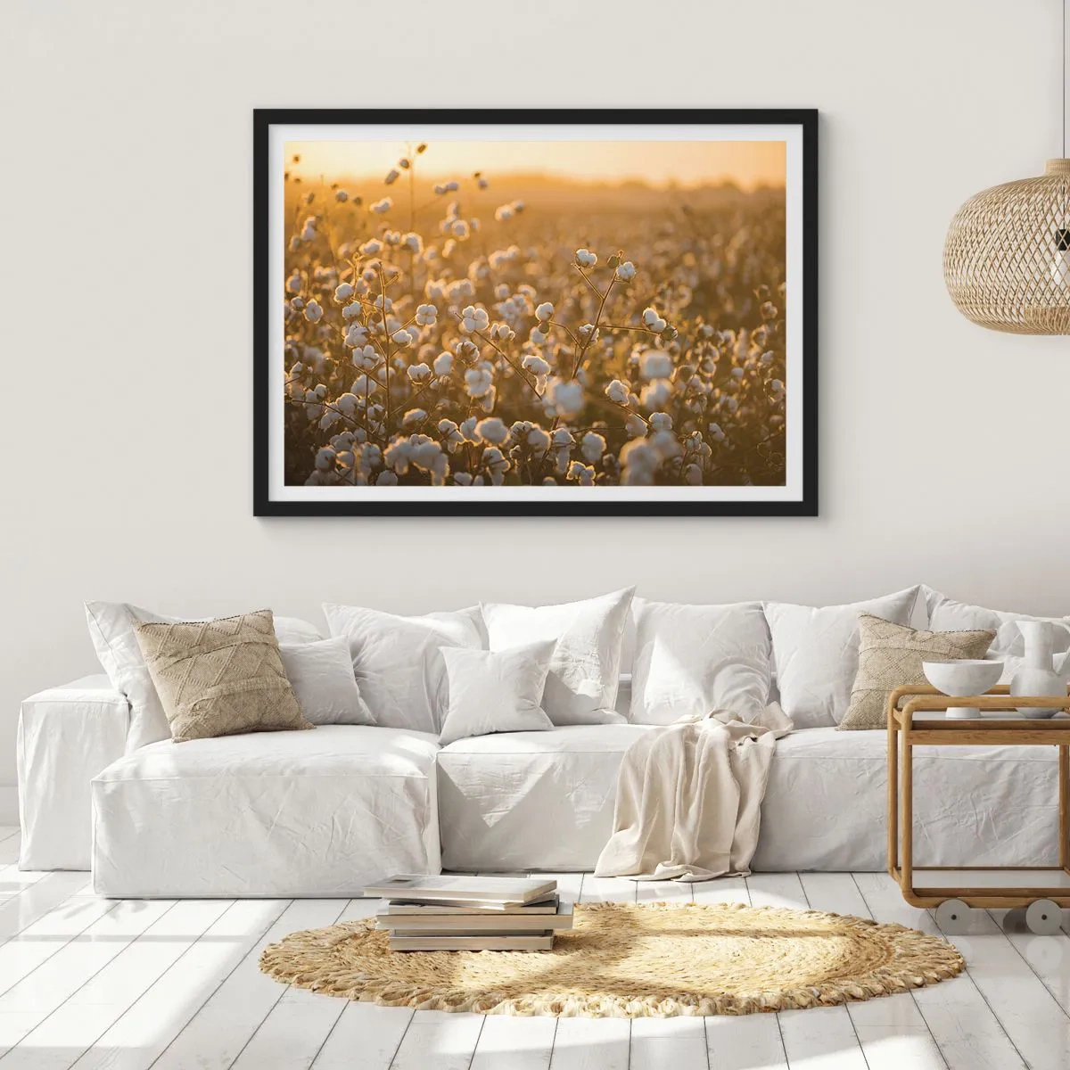 Affiche dans un cadre noir - Poster - Un champ de coton dans la chaude lumière du soleil couchant - 100x70cm - Champ moelleux - Décoration murale moderne pour le salon et la chambre ARTTOR