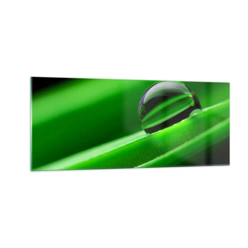 Impression sur verre - Image sur verre - La vie de près - 100x40 cm