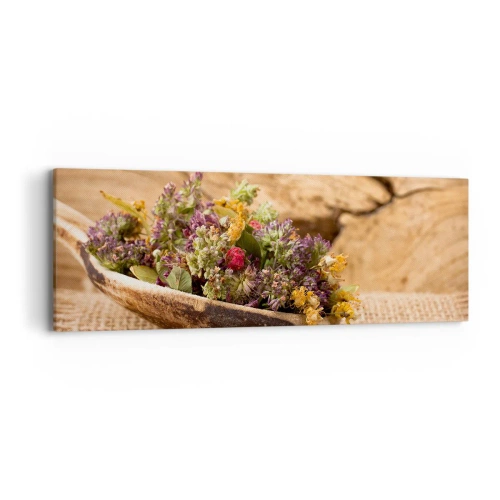 Impression sur toile - Image sur toile - Fleurs colorées et herbes parfumées - 90x30 cm