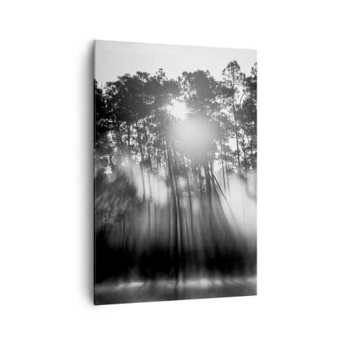 Impression sur toile - Image sur toile - Forêt noire et blanche dans le brouillard du matin - 70x100cm - Soleil inarrêtable - Décoration murale moderne pour le salon et la chambre ARTTOR