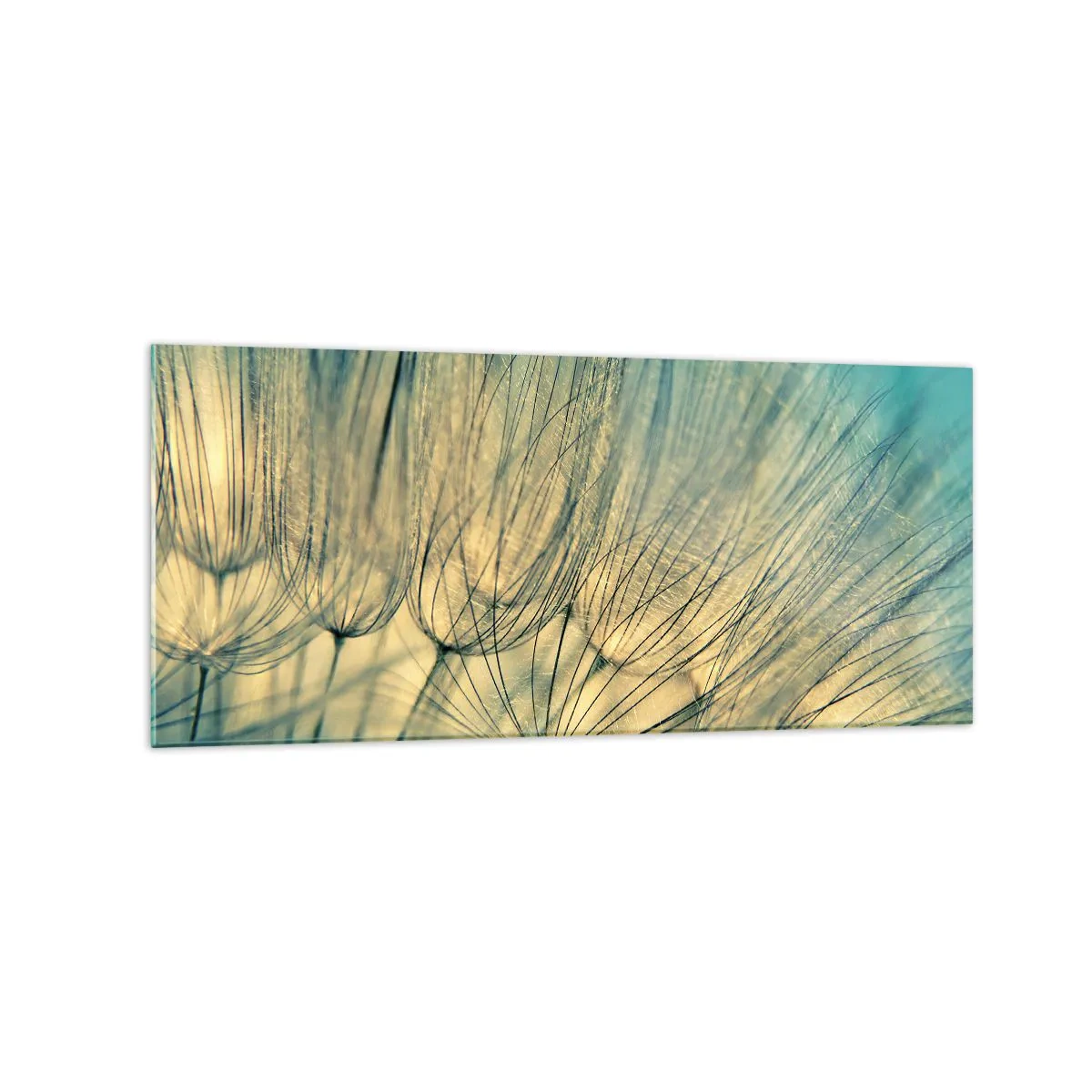 Impression sur verre - Image sur verre - Macrophotographie de pissenlits en plein jour - 120x50cm - En attente du vent - Décoration murale moderne pour le salon et la chambre ARTTOR