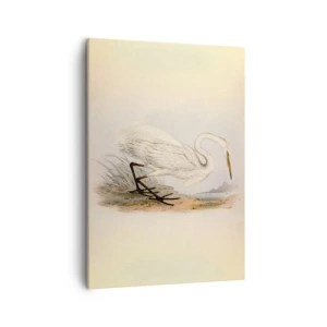 Impression sur toile - Image sur toile - Dessin d'un héron blanc sur fond de paysage naturel - 50x70cm - Dame sur les joncs - Décoration murale moderne pour le salon et la chambre ARTTOR