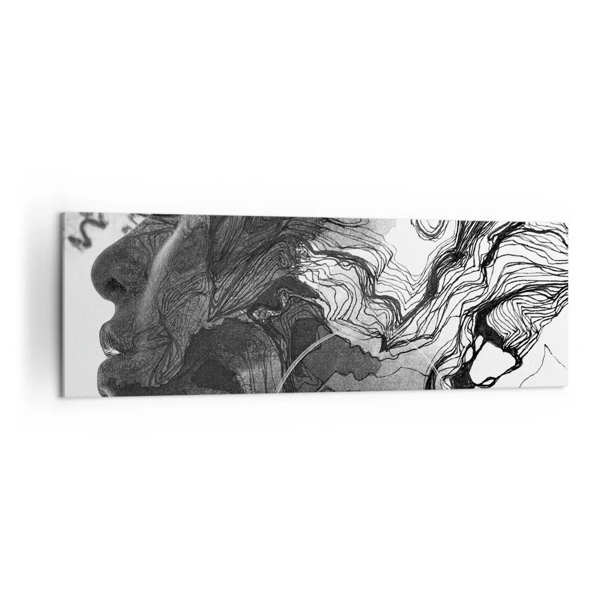 Impression sur toile - Image sur toile - Visage abstrait en noir et blanc avec des lignes dynamiques. - 160x50cm - Emmêlé dans les rêves - Décoration murale moderne pour le salon et la chambre ARTTOR