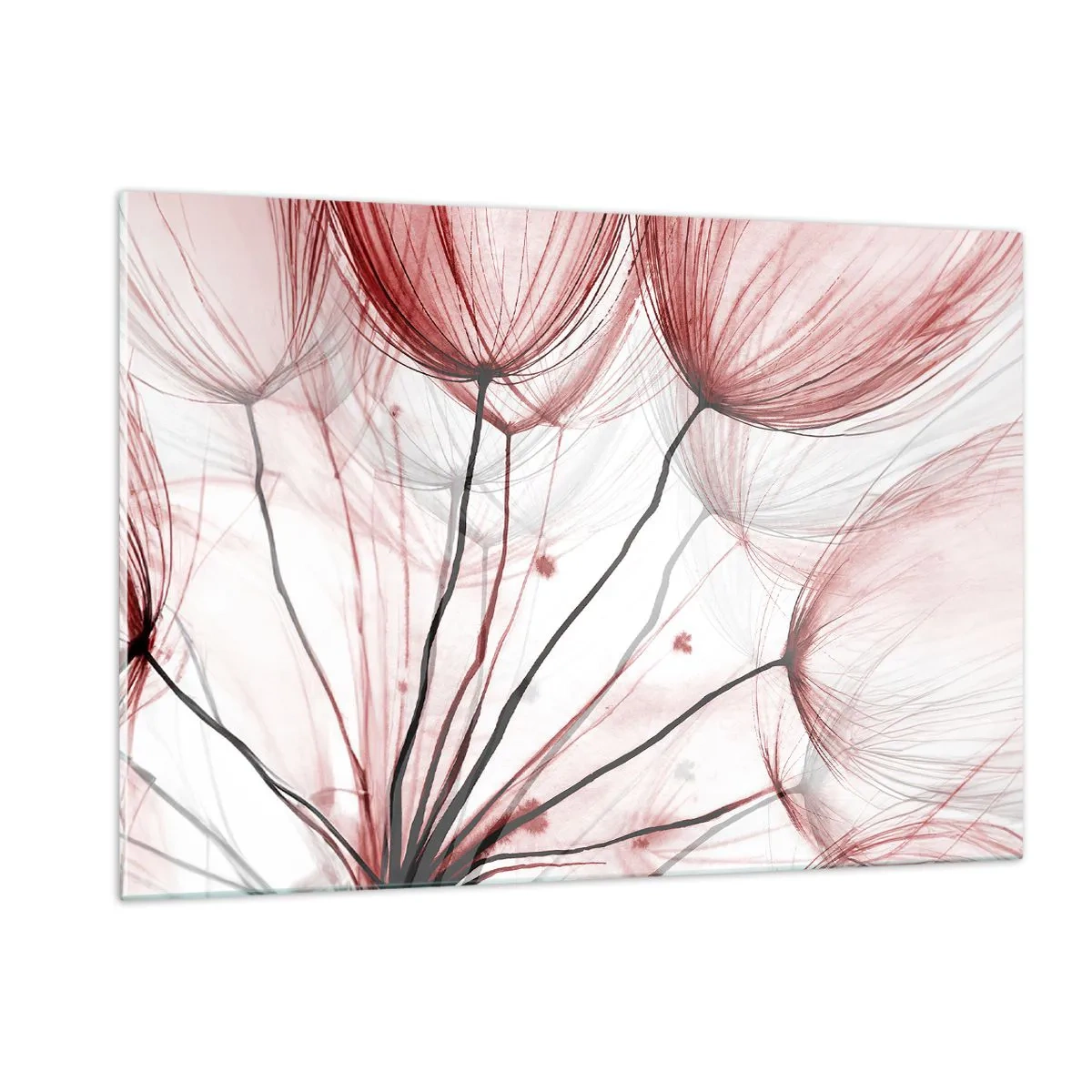Impression sur verre - Image sur verre - Pissenlits subtils dans des tons de rose et de noir - 120x80cm - Avant le départ - Décoration murale moderne pour le salon et la chambre ARTTOR