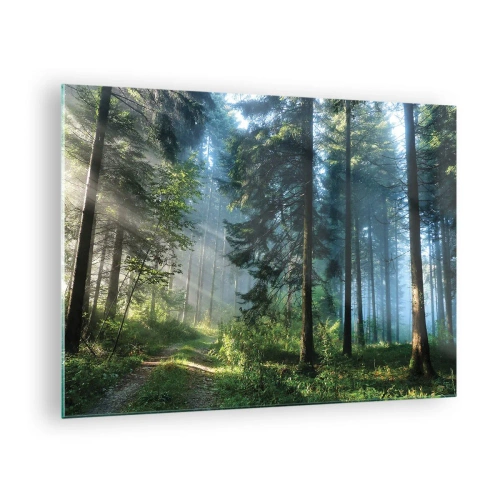 Impression sur verre - Image sur verre - Un chemin forestier dans la brume matinale parmi de grands arbres - 70x50cm - Rayonnant le matin - Décoration murale moderne pour le salon et la chambre ARTTOR