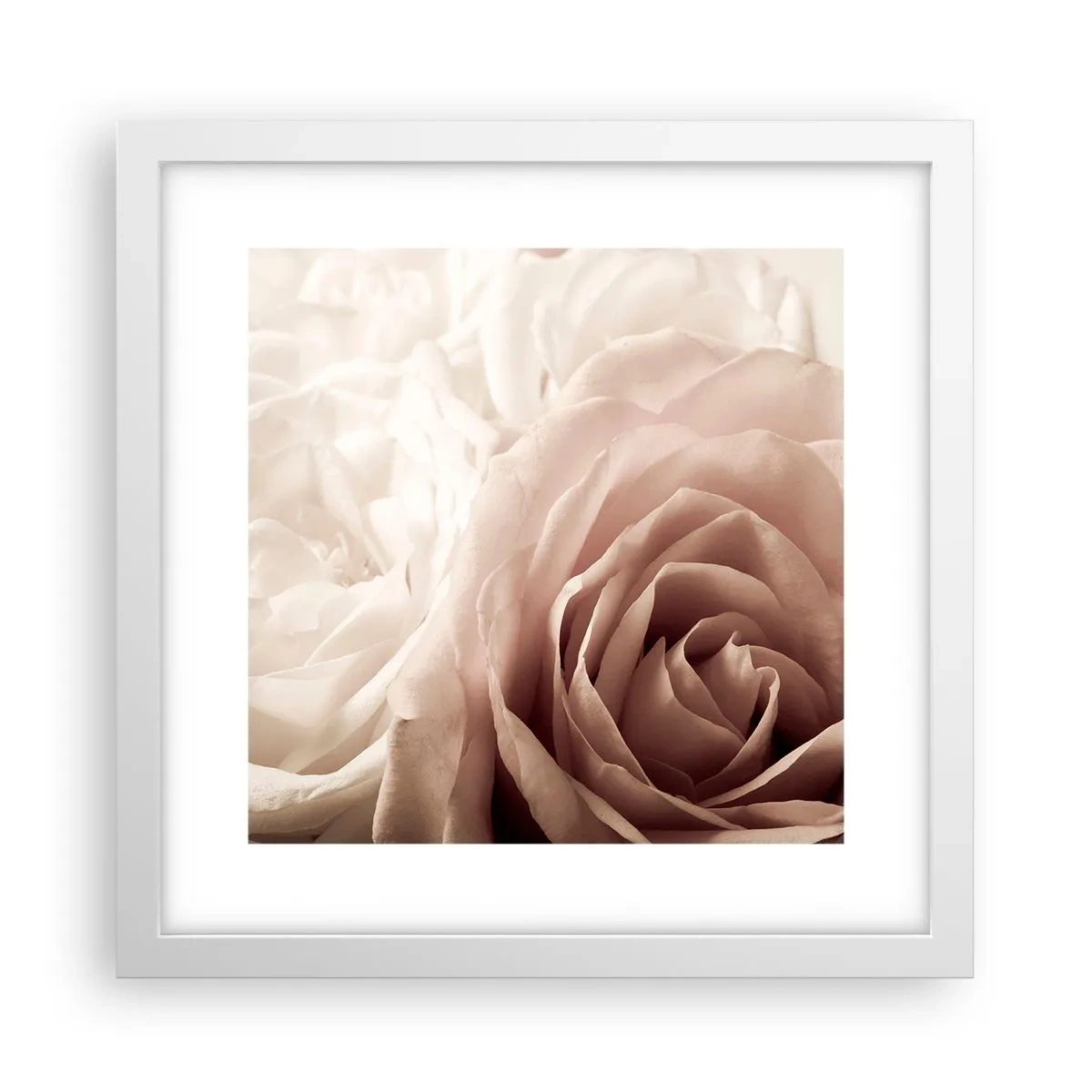 Affiche dans un cadre blanc - Poster - Au coeur d'ue la rose - 30x30 cm
