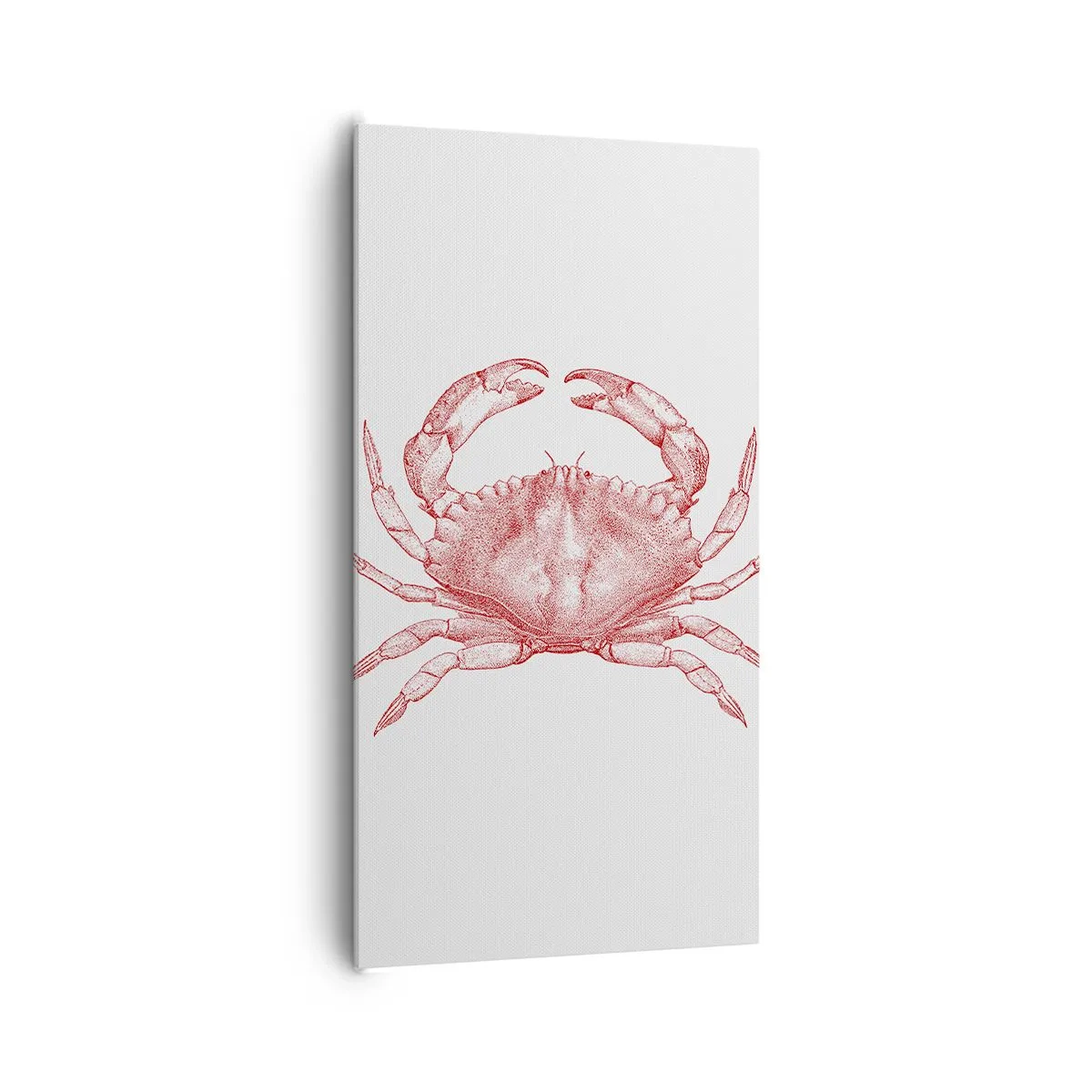 Impression sur toile - Image sur toile - Le crabe des crabes - 65x120 cm