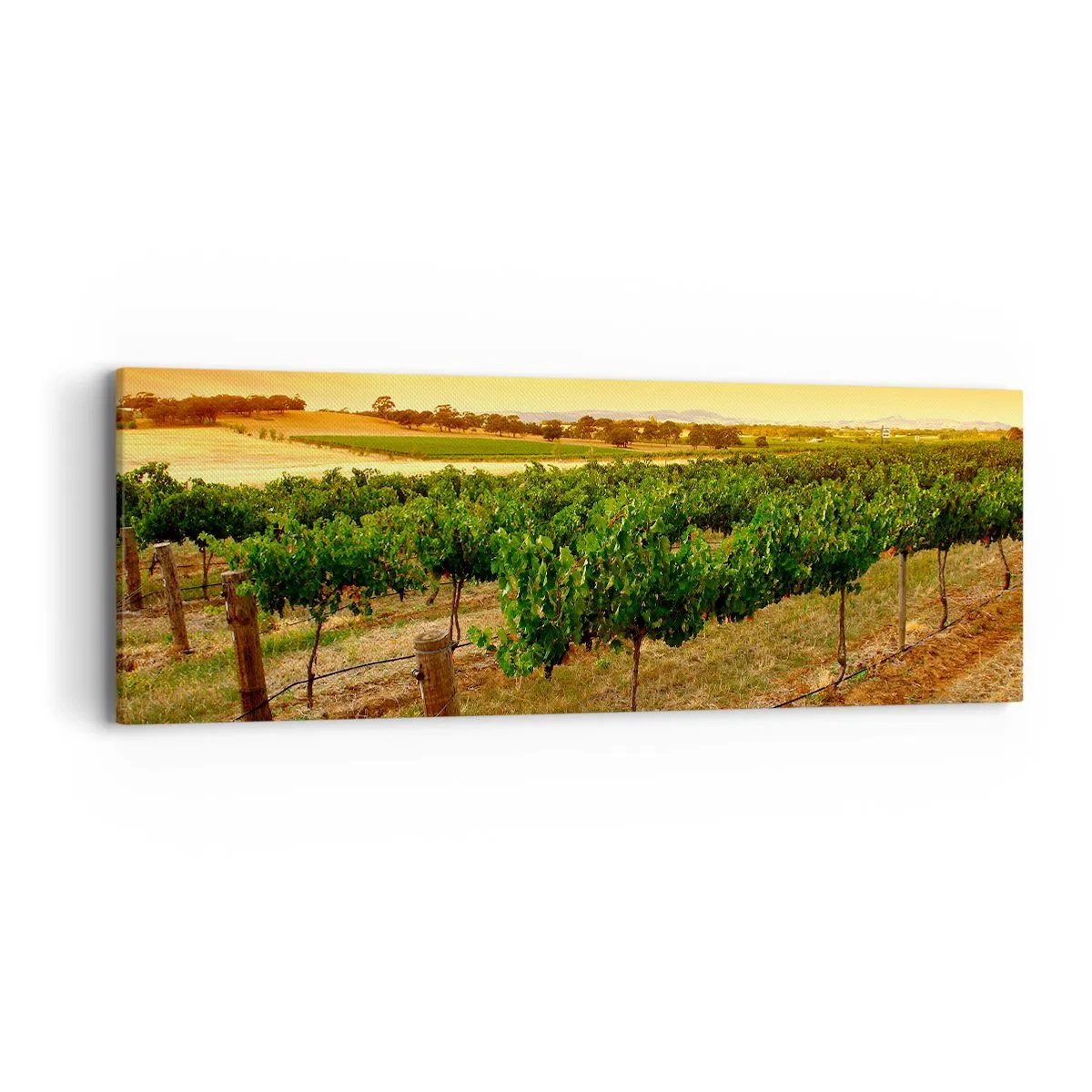 Impression sur toile - Image sur toile - S'abreuver du soleil - 90x30 cm