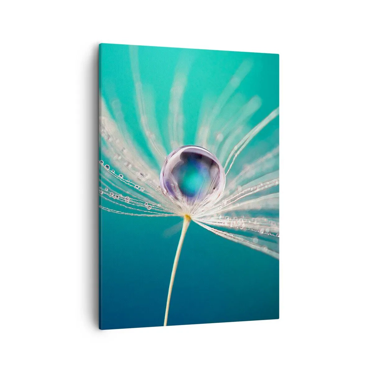 Impression sur toile - Image sur toile - Macro d'une goutte d'eau sur une délicate graine de pissenlit - 50x70cm - Moment mystique - Décoration murale moderne pour le salon et la chambre ARTTOR