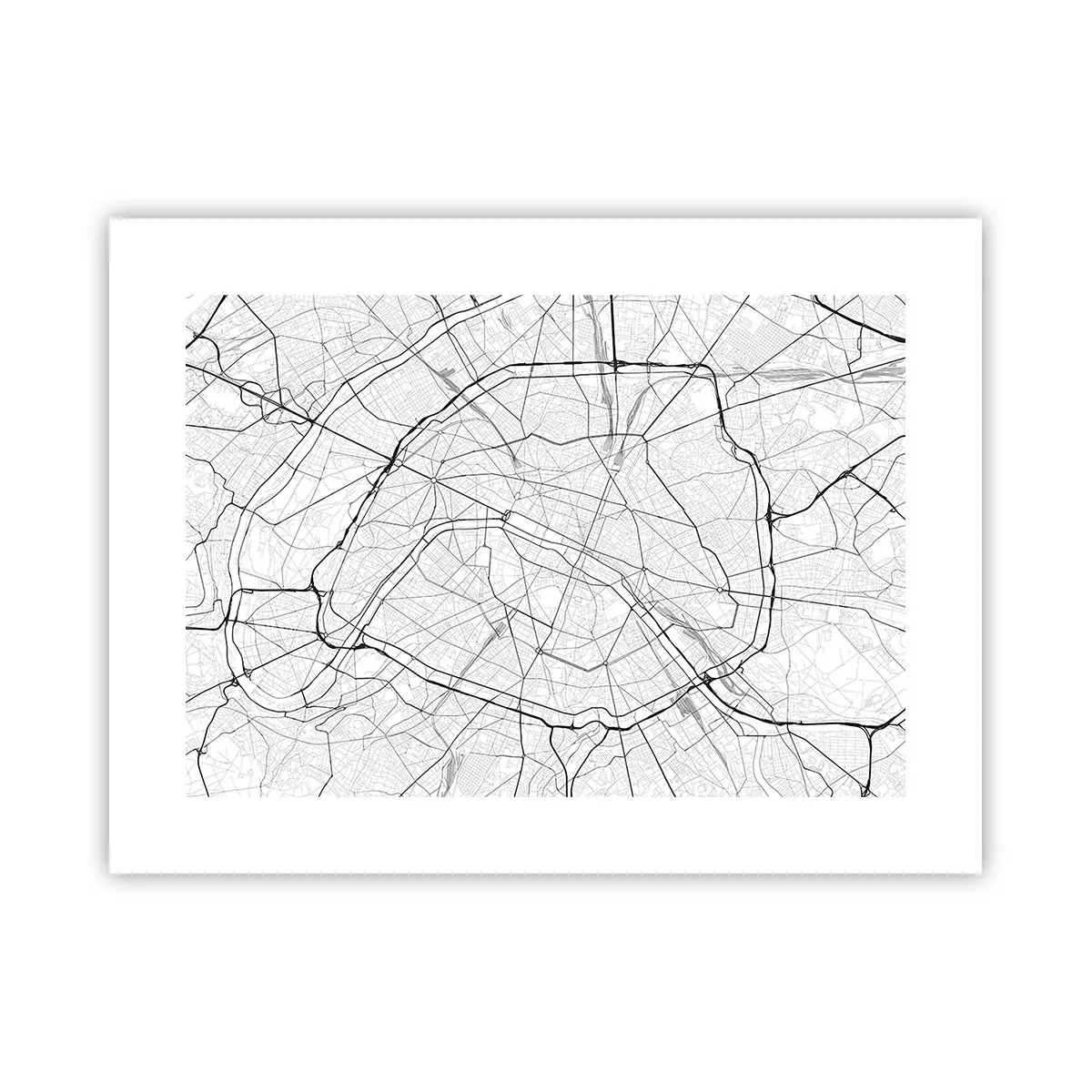 Affiche - Poster - Fleur de Paris - 40x30 cm
