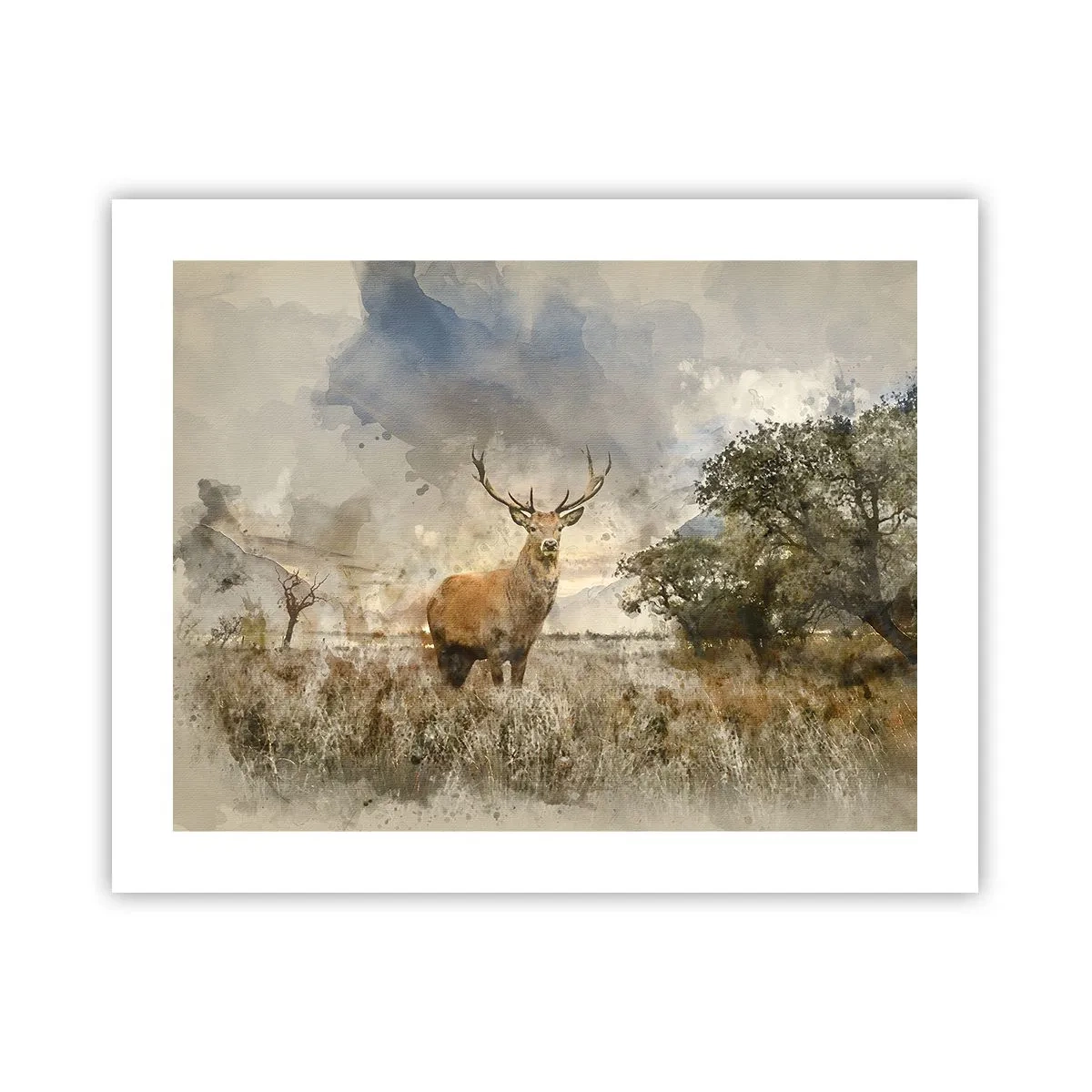 Affiche - Poster - Dignité - force - majesté - 50x40 cm