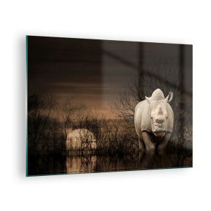 Impression sur verre - Image sur verre - Rhinocéros contre le soleil couchant - 70x50cm - Blanc contre nature - Décoration murale moderne pour le salon et la chambre ARTTOR