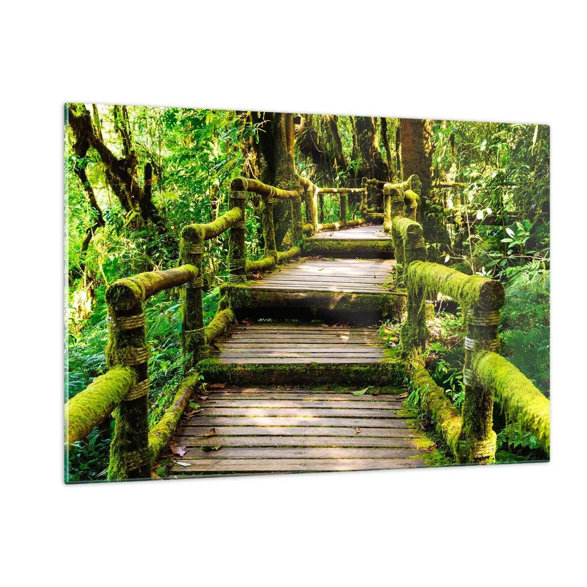 Impression sur verre - Image sur verre - Un chemin en bois dans une forêt verte couverte de mousse - 120x80cm - Un couloir de verdure - Décoration murale moderne pour le salon et la chambre ARTTOR