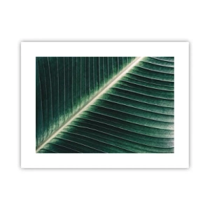 Affiche - Poster - Le rythme de la nature - 40x30 cm