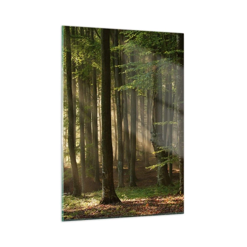Impression sur verre - Image sur verre - Les rayons du soleil brillent à travers les arbres de la forêt - 50x70cm - Rayon d'un matin de printemps - Décoration murale moderne pour le salon et la chambre ARTTOR