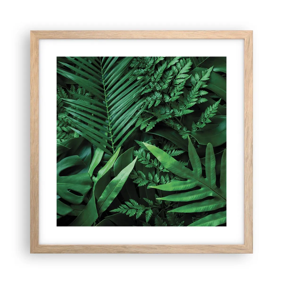 Affiche dans un chêne clair - Poster - Emmitouflé de verdure - 40x40 cm