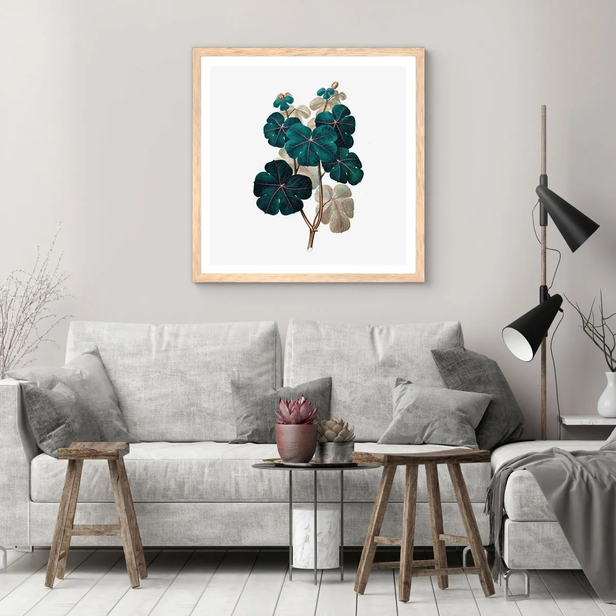 Affiche dans un chêne clair - Poster - De l'ancien herbier - 40x40 cm