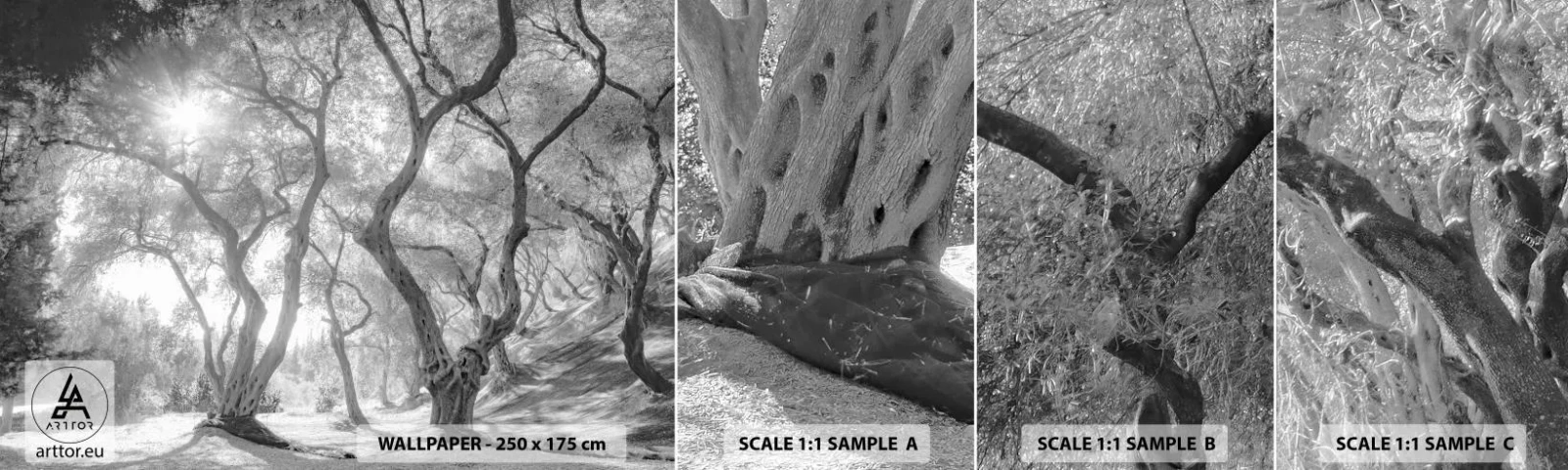 Échantillon de Papier Peint Autocollant Deluxe Sticker - Dans l'oliveraie - Forêt, Hiver, Des arbres - 100x30 cm