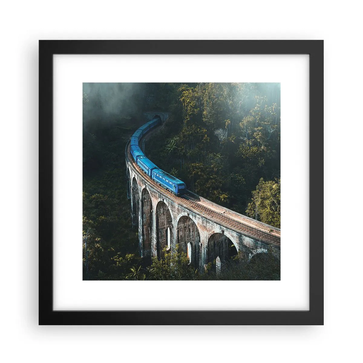 Affiche dans un cadre noir - Poster - Train nature - 30x30 cm