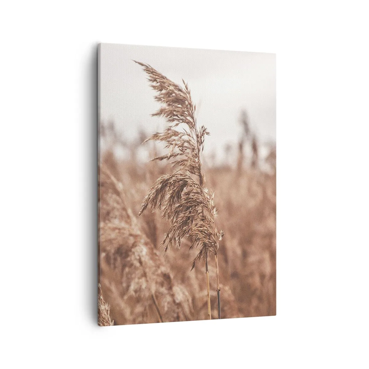 Impression sur toile - Image sur toile - Herbes dorées sur fond de paysage d'automne - 50x70cm - C'est déjà l'automne dans les champs - Décoration murale moderne pour le salon et la chambre ARTTOR