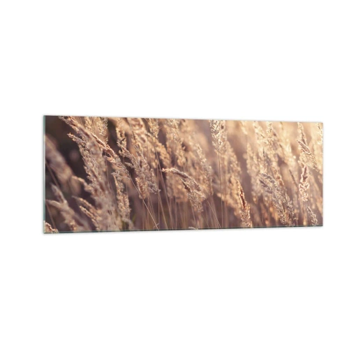 Impression sur verre - Image sur verre - Herbes dorées sur fond de soleil couchant - 140x50cm - Prêt à accueillir l'automne - Décoration murale moderne pour le salon et la chambre ARTTOR