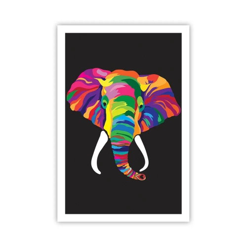 Affiche - Poster - L'éléphant qui aimait se baigner dans un arc-en-ciel - 61x91 cm