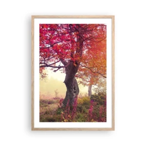 Affiche dans un chêne clair - Poster - Frénésie de floraison - 50x70 cm