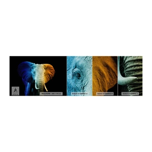 Échantillon de Papier Peint Premium Sand - Excentrique, pas bizarre - Abstraction, Éléphant, Animaux - 100x30 cm