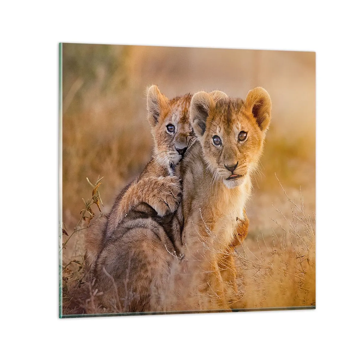 Impression sur verre - Image sur verre - Ne pas déranger! On s'amuse - 30x30 cm