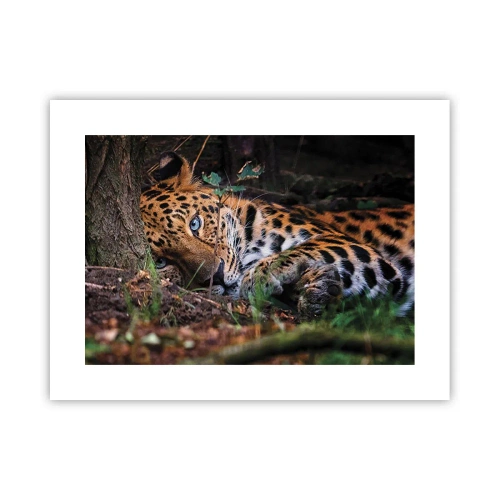 Affiche - Poster - Fais-moi confiance - 40x30 cm