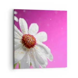 Impression sur toile - Image sur toile - Modeste dans sa beauté - 70x70 cm