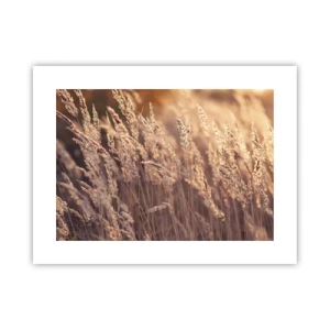 Affiche - Poster - Prêt à accueillir l'automne - 40x30 cm