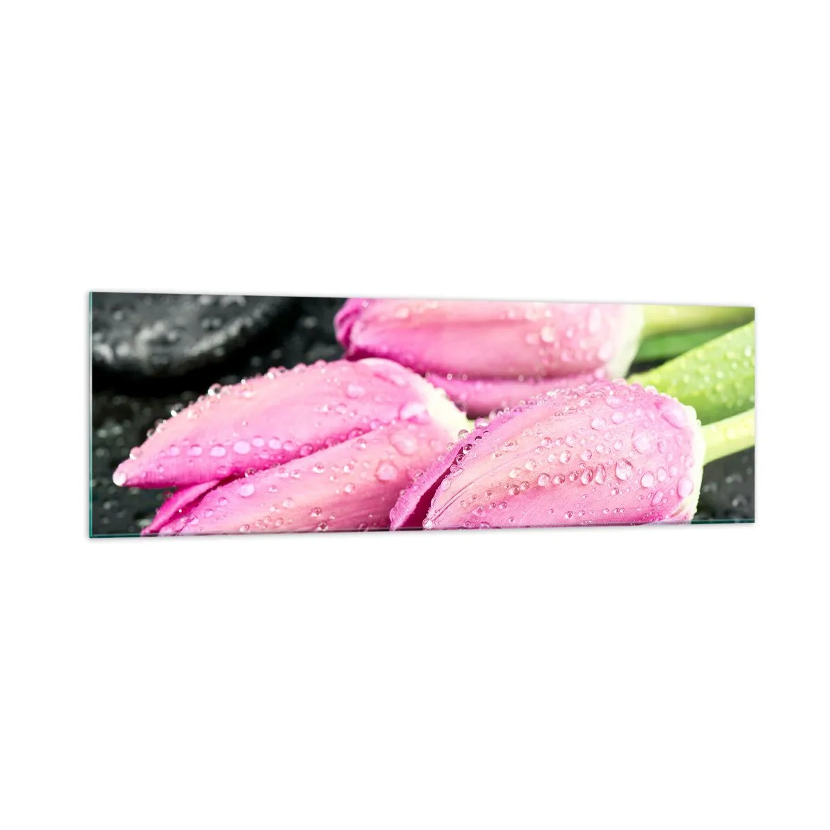 Impression sur verre - Image sur verre - Trois tulipes roses avec des gouttes d'eau sur fond noir - 160x50cm - Lilas trois sur une pierre noire - Décoration murale moderne pour le salon et la chambre ARTTOR