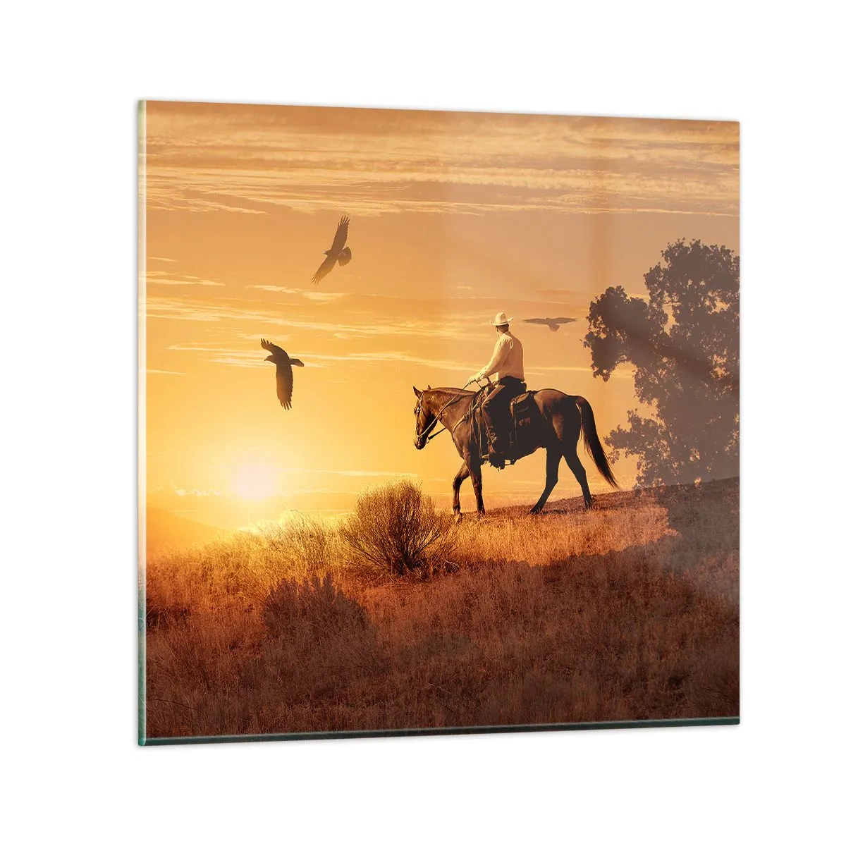 Impression sur verre - Image sur verre - Seul à travers la prairie - 50x50 cm