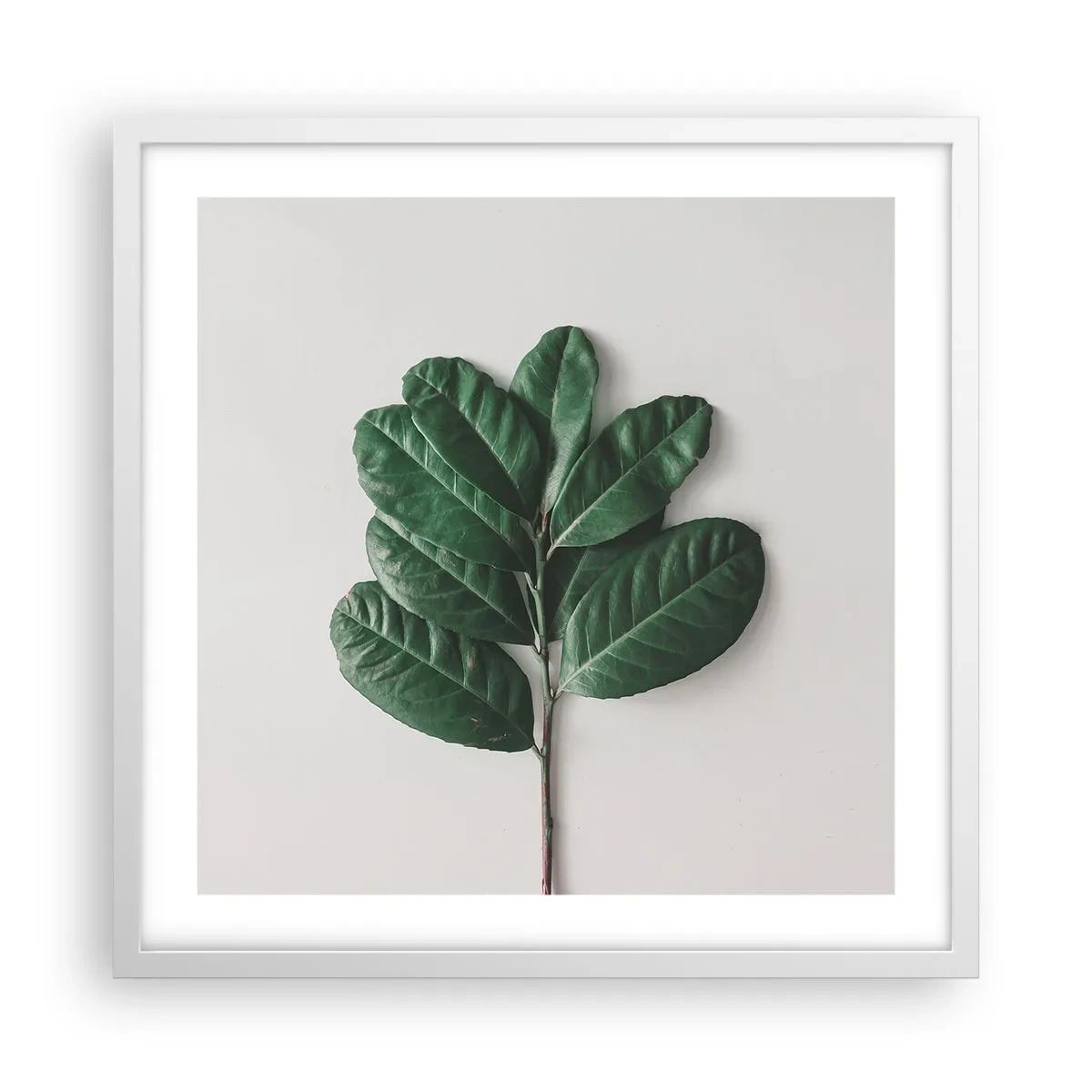 Affiche dans un cadre blanc - Poster - Dessin de la nature elle-même - 50x50 cm