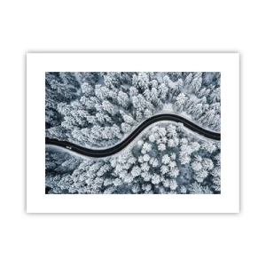 Affiche - Poster - À travers une forêt d'hiver - 40x30 cm