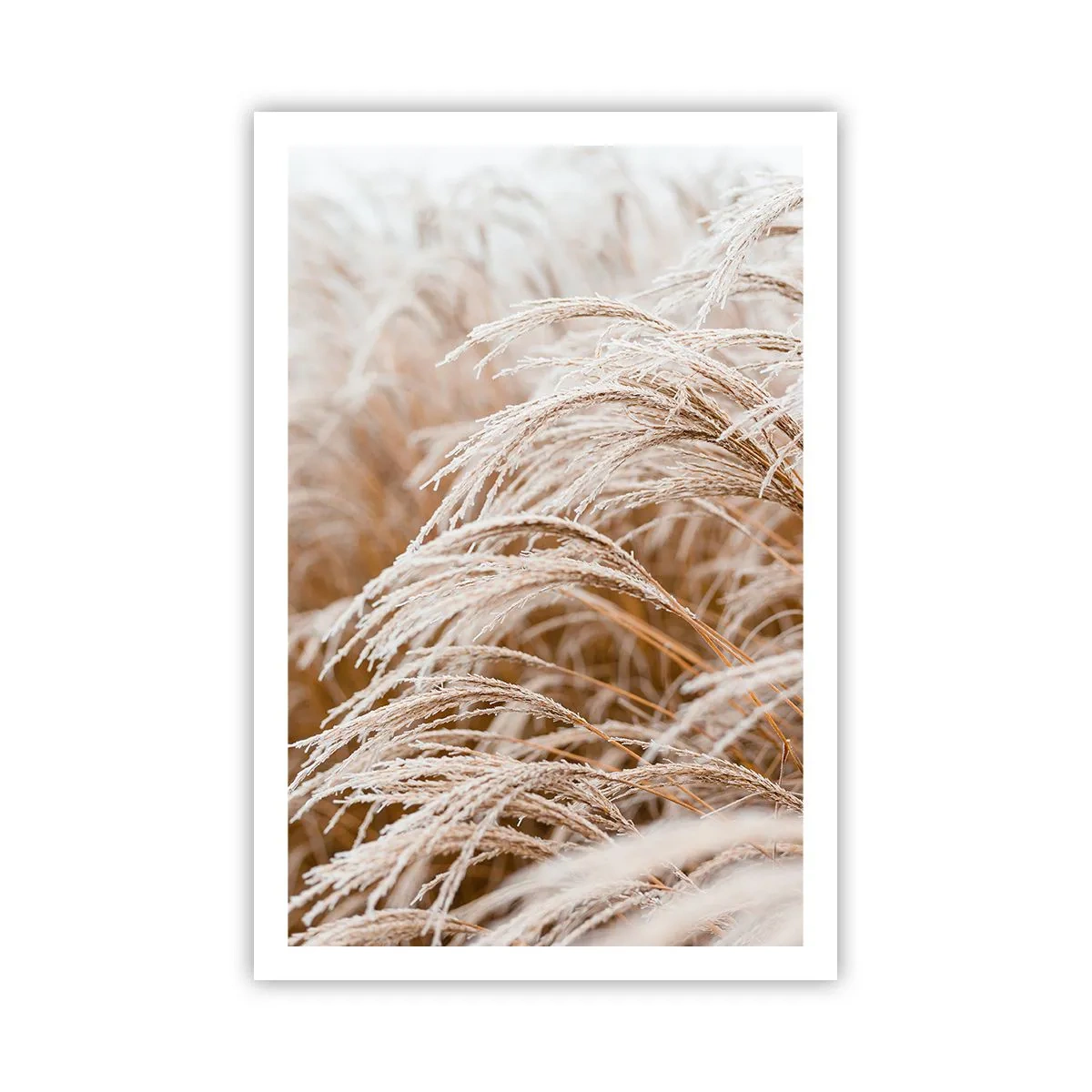 Affiche - Poster - Prosternez-vous devant le soleil d'automne - 61x91 cm