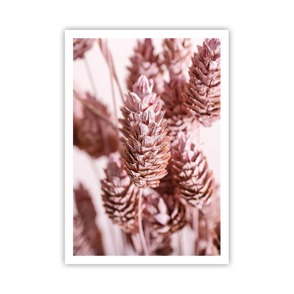 Affiche - Poster - Apparemment discret - 70x100 cm